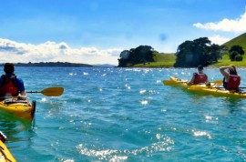 Kayaking Tours in Auckland | Auckland Sea Kayaks